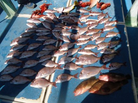 十八宝洋丸 釣果