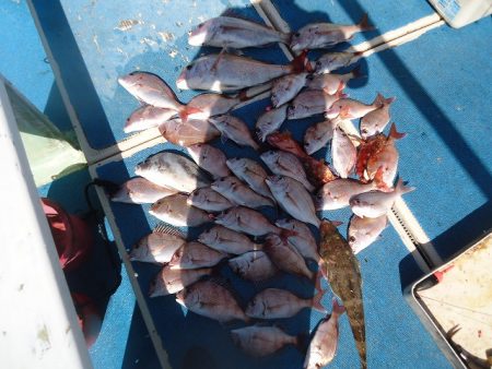 十八宝洋丸 釣果