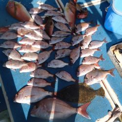 十八宝洋丸 釣果