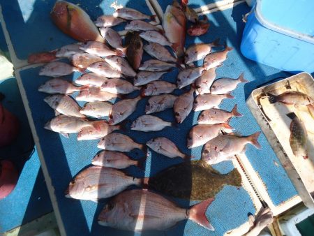 十八宝洋丸 釣果