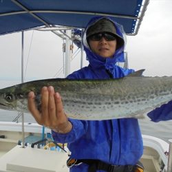 ＨＡＲＵＫＡ丸　はるかまる 釣果