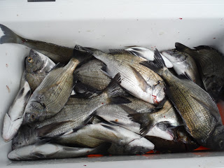 バラモン1号 釣果