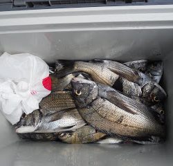 バラモン1号 釣果