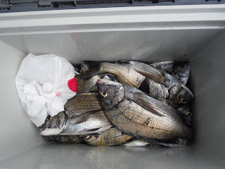 バラモン1号 釣果