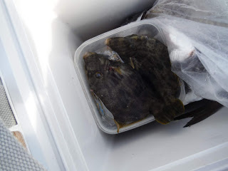 バラモン1号 釣果