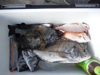 バラモン1号 釣果