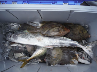 バラモン1号 釣果