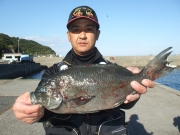 春日丸 釣果