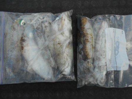 こかわ渡船　雅丸 釣果