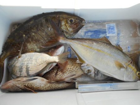 こかわ渡船　雅丸 釣果