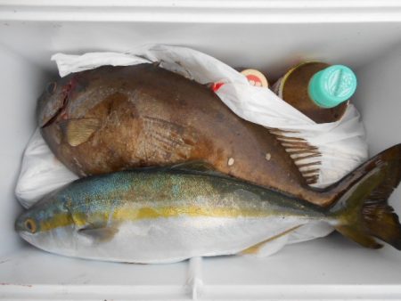 こかわ渡船　雅丸 釣果