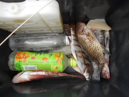 こかわ渡船　雅丸 釣果