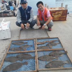 大進丸(愛知) 釣果