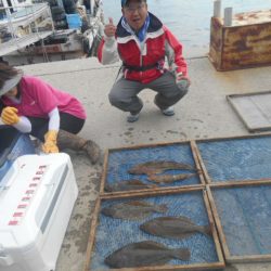 大進丸(愛知) 釣果