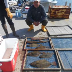 大進丸（愛知） 釣果