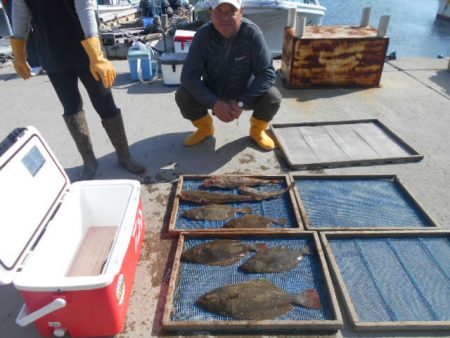 大進丸（愛知） 釣果