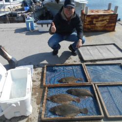 大進丸（愛知） 釣果