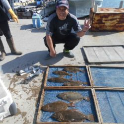 大進丸（愛知） 釣果