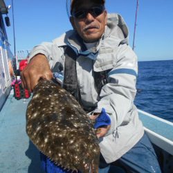 大進丸（愛知） 釣果