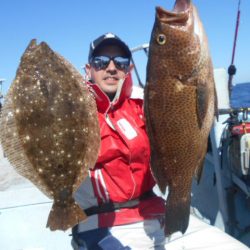 大進丸（愛知） 釣果