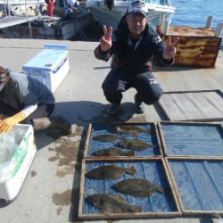 大進丸（愛知） 釣果