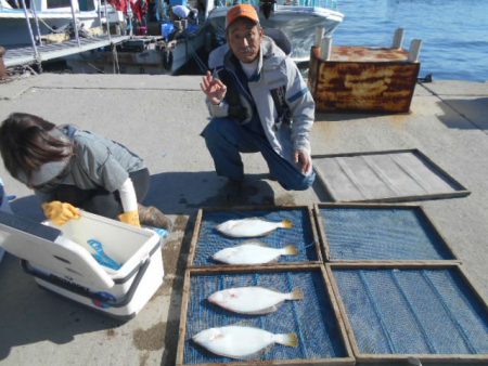 大進丸（愛知） 釣果