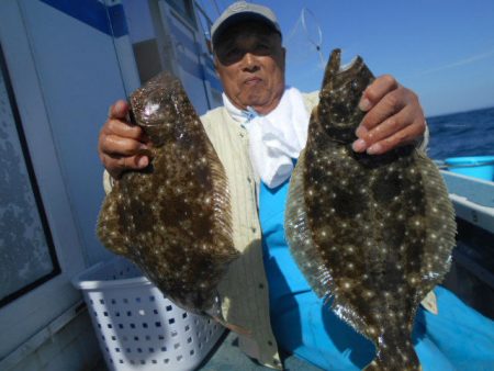 大進丸(愛知) 釣果