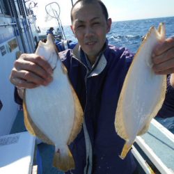 大進丸（愛知） 釣果