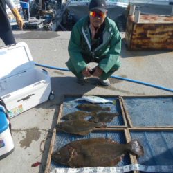 大進丸（愛知） 釣果