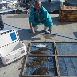 大進丸（愛知） 釣果