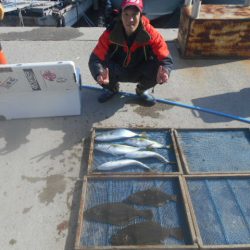 大進丸（愛知） 釣果