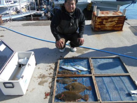 大進丸（愛知） 釣果