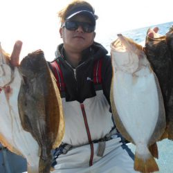 大進丸（愛知） 釣果