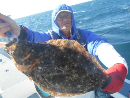 大進丸（愛知） 釣果