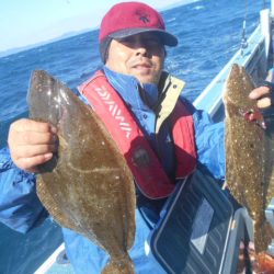 大進丸（愛知） 釣果