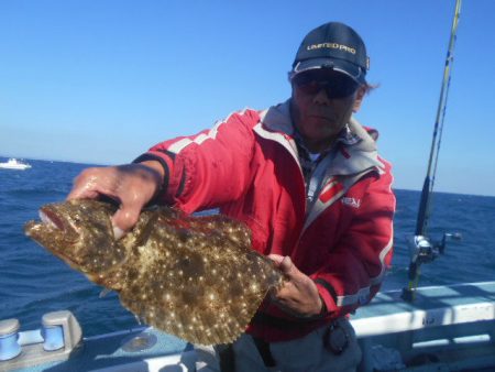 大進丸（愛知） 釣果
