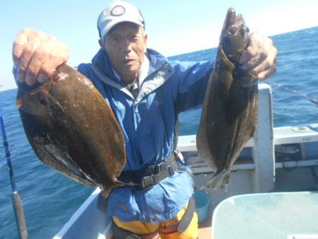 大進丸（愛知） 釣果