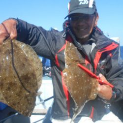 大進丸（愛知） 釣果