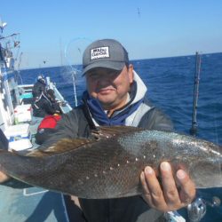 大進丸（愛知） 釣果