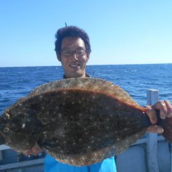 大進丸（愛知） 釣果