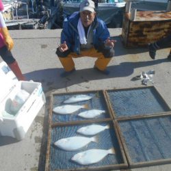 大進丸（愛知） 釣果