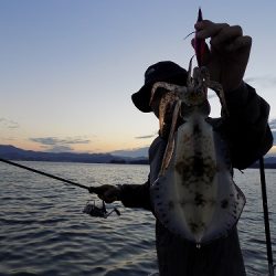 フィッシングボート空風(そらかぜ) 釣果