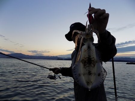 フィッシングボート空風(そらかぜ) 釣果