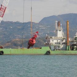 フィッシングボート空風(そらかぜ) 釣果