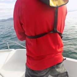 フィッシングボート空風（そらかぜ） 釣果