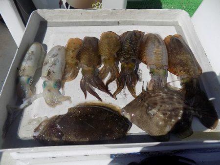 フィッシングボート空風（そらかぜ） 釣果