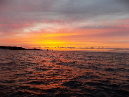 フィッシングボート空風(そらかぜ) 釣果