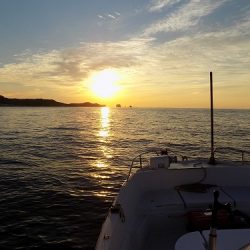 フィッシングボート空風(そらかぜ) 釣果