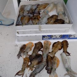 フィッシングボート空風(そらかぜ) 釣果