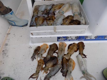 フィッシングボート空風(そらかぜ) 釣果